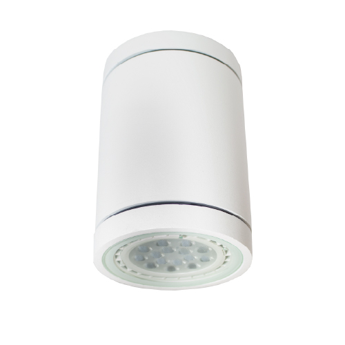 Plafón 1x50W AR111 aluminio blanco